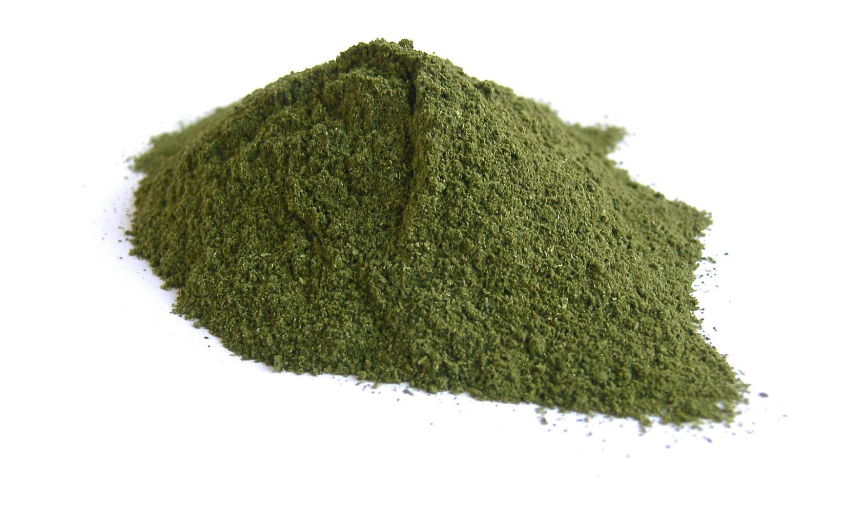 Alfalfa Grass Powder Organic Ekowarehouse